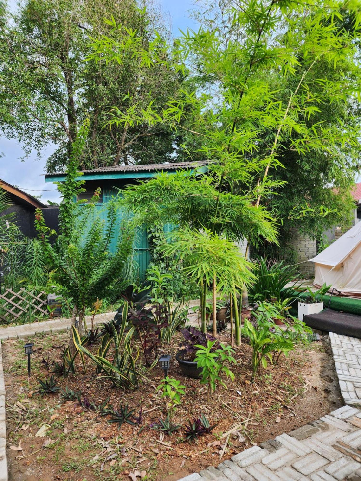 Blissfull Sweet Inn Pantai Cenang  Exterior foto